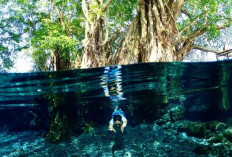 11 Umbul di Klaten dengan Air Alami yang Mengalir Sepanjang Tahun