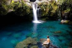 Telaga Sunyi, Destinasi Wisata Alam Instagramable Dekat Purbalingga, Cocok untuk Libur Lebaran 2025