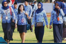 Guru PPPK Paruh Waktu di Lubuklinggau Geger Digaji Rp500 Ribu, BPKAD Beri Penjelasan