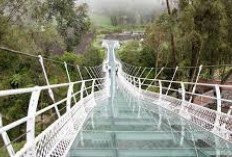 Sensasi Menegangkan di Jembatan Kaca Waduk Gajah Mungkur, Wisata Hits di Wonogiri