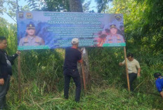 Jangan Bakar Hutan, Melanggar Kena Pasal Pidana