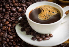 Kopi Decaf, Kopi Rendah Kafein yang Katanya Lebih Sehat