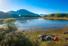Telaga Dringo, Surga Tersembunyi Dekat Dieng yang Cocok untuk Liburan Lebaran 2025