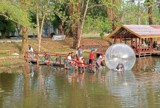 5 Rekomendasi Wisata di Musi Banyuasin, Sumatera Selatan