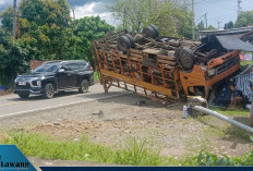 Hindari Kucing Nyebrang, Truk Ekspedisi Cargo Terjungkal dan Tabrak Rumah Warga