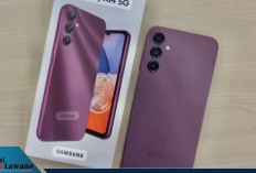 Samsung Jadi Brand HP Nomor 1 di Indonesia Tahun 2023, Ini Seri Terlaris dan Harganya!