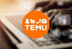 Temu: Aplikasi E-Commerce Berbahaya yang Mengancam Perekonomian