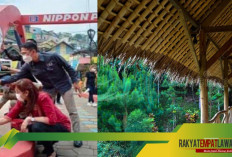 Pesona Baru Semarang: Ada Kampung Pelangi Genuk Hingga Semarang Art Village Yang Wajib Dikunjungi