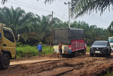 Kondisi Kerusakan di Jalan Sungai Lilin - Keluang Makin Parah
