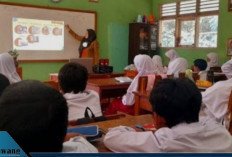 TPG Triwulan 3 Cair Lebih Cepat? Ini Fakta yang Wajib Diketahui Guru