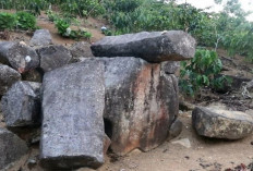 Rimba Candi Pagaralam Disiapkan Sebagai Kota Sejarah Peninggalan Kerajaan Sriwijaya