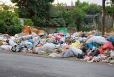 Tumpukan Sampah Makin Menyengat