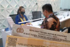 Pemutihan Pajak Kendaraan 2024: Kesempatan Emas dari 8 Provinsi untuk Bebas Denda dan Diskon Besar