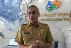 Optimalisasi Lahan di Sumsel 2024 Meningkat