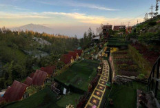 The Nature Bromo, Magnet Wisata Baru dengan Wahana Ekstrem Berlatar Gunung Bromo