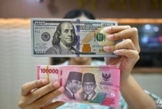 Melemahnya Rupiah dan Prospek Ekonomi Indonesia di Tahun 2025