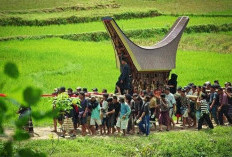 Membuka Tabir Misteri dan Sejarah Tanah Toraja