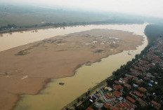 Banyak yang Nggak Tau, Ini 3 Sungai Terpanjang di Provinsi Jambi