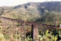 Jalur Banjar–Cijulang Siap Direaktivasi, Jadi Prioritas Konektivitas Wisata Pangandaran