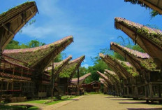 Melihat Kete Kesu, Desa Adat Peninggalan Budaya Toraja