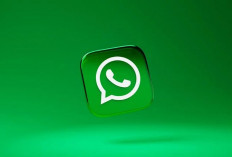 WhatsApp Plus Resmi Meluncur Global, Langganan Rp52 Ribu per Bulan untuk Fitur Premium