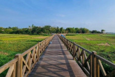 Pesona Tersembunyi! Jembatan Kayu Waduk Cengklik Boyolali Jadi Destinasi Hits untuk Sunset dan Foto Estetik