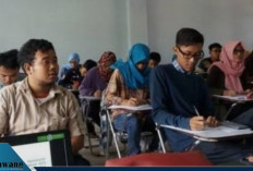 7 Jurusan Sarjana dengan Kuota Terbesar di Seleksi CPNS, Ada Jurusanmu? Peluang Lolos Lebih Besar!