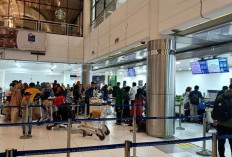 Lebih Murah! Warga Batam Pilih Mudik Lewat Malaysia, Tiket dari Hang Nadim Selangit!
