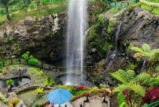 5 Rekomendasi Wisata Populer di Purwokerto yang Wajib Kamu Kunjungi