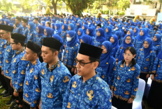 Gagal Jadi PNS Impian? Hampir 2.000 CPNS 2024 Pilih Mundur, Ini Alasannya!