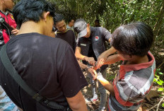 Kampung Narkoba di Desa Taja Mulya dan Taja Raya II Digrebek Polisi