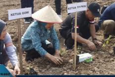 Ketua TP PKK Empat Lawang Ajak Warga Mandiri Pangan Lewat Gerakan Menanam Cabe