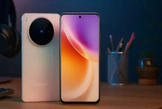 vivo X300: Flagship Compact yang Bikin Pesaing Ketar-Ketir