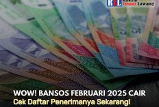 WOW! Bansos Februari 2025 Cair, Cek Daftar Penerimanya Sekarang!