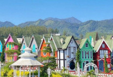 Nyaman dan Aman, Ini 27 Rekomendasi Wisata di Malang dengan Panorama Keindahan