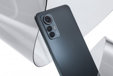 Gagal Cicipi Android 16: Puluhan Seri Xiaomi, Redmi & Poco Terbuang