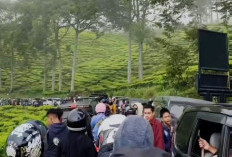 Arus Kendaraan Menuju Gunung Dempo Padat Merayap