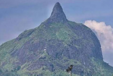 Perkenalkan Pesona Bukit Jempol 