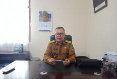 Produksi Kopi Petik Merah Masih Terbatas