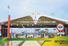 Tol Bayung Lencir-Tempino Resmi Dibuka Gratis! Konektivitas Sumatera Selatan-Jambi Makin Lancar