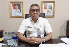 Sumsel Salurkan 35.696 Ton Pupuk Urea Subsidi