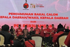 PDIP Umumkan Daftar Bakal Calon Gubernur dan Wakil Gubernur pada Pilkada Serentak 2024