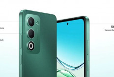 OPPO A5: Tahan Banting, Baterai Badak, Harga Cuma 2 Jutaan!