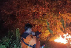 7,8 Hektar Lahan di Alang-Alang Lebar Terbakar