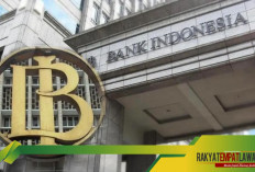 Bank Indonesia Buka Lowongan PCPM 39: Berikut Jurusan yang Dibutuhkan