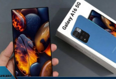 Harga HP Samsung Juni 2025: Galaxy A16 5G Mulai Rp2 Jutaan hingga Galaxy Z Fold6 yang Super Premium