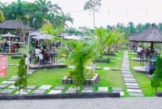 Jangan Ngaku Pencinta Wisata Kalau Belum ke Jona Garden! Destinasi Seru di Binjai yang Wajib Dikunjungi