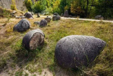 Melihat Keajaiban Batu Hidup Trovant di Rumania, Misteri yang Belum Terpecahkan