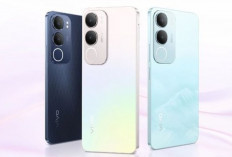 Vivo Y19s: Smartphone 1 Jutaan dengan Desain Premium dan Baterai Besar