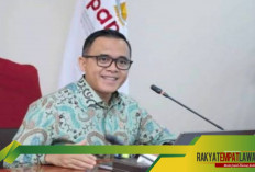 MenPAN RB dan DPR Sepakat Berikan NIP kepada 1,7 Juta Tenaga Honorer pada Desember 2024